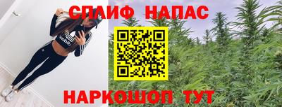 прущие грибы Дубна